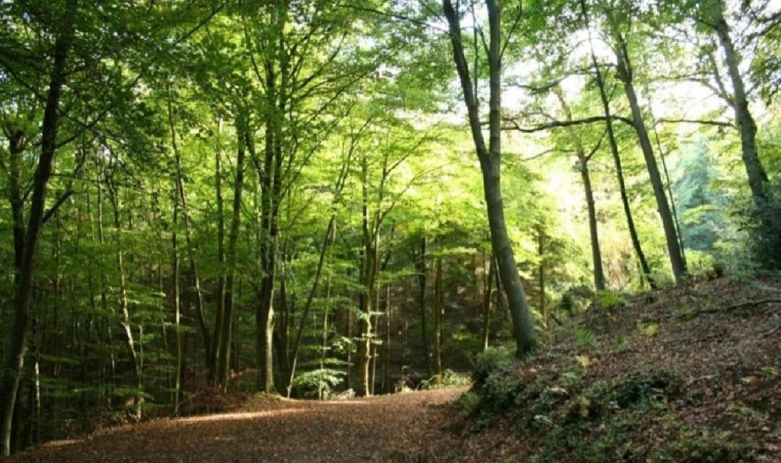 Haus Natura Jurdani Luaran gambar